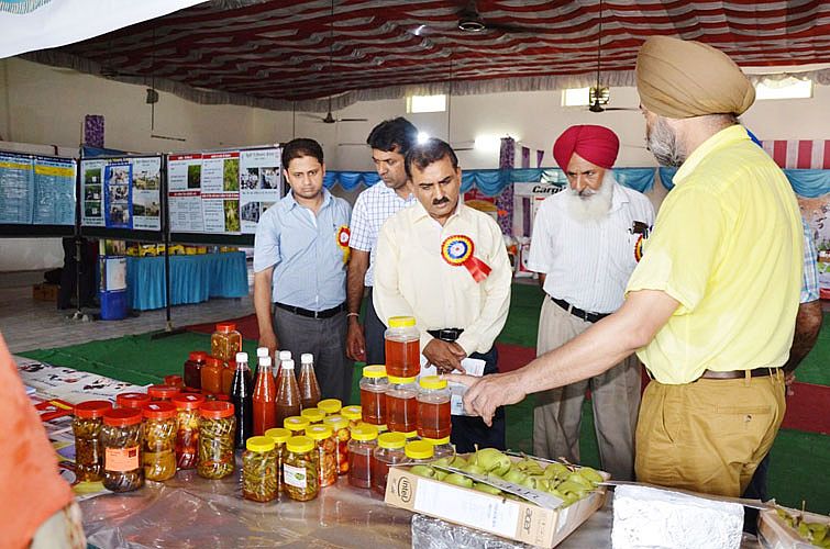 Pre-Kharif 2015, Kisan Samelan organized by KVK Ta